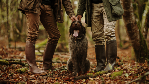 Two people wearing Wellington boots and patting their dog in the forest