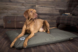 Scruffs Expedition Orthopaedic Pet Bed