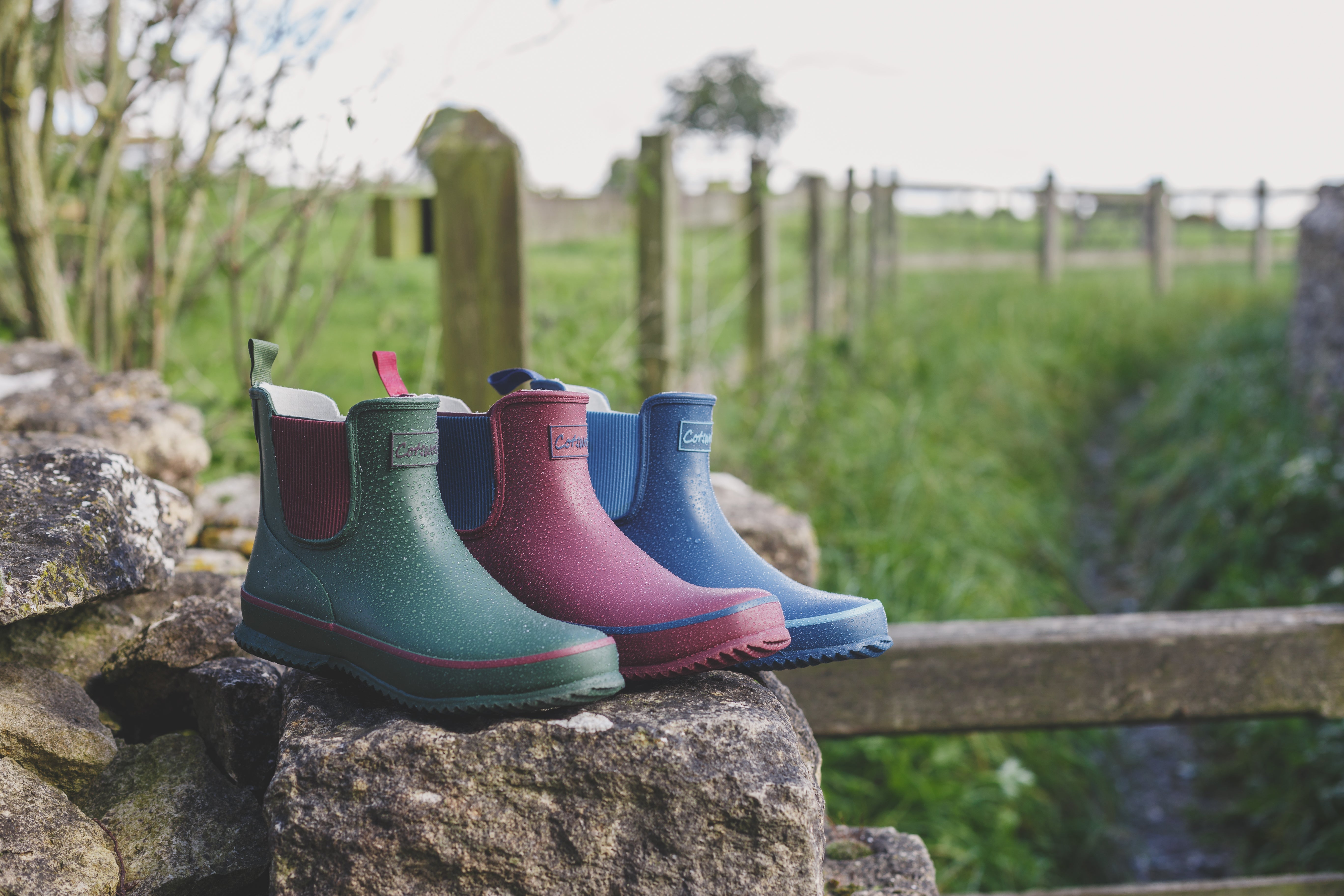 cotswold chelsea boots