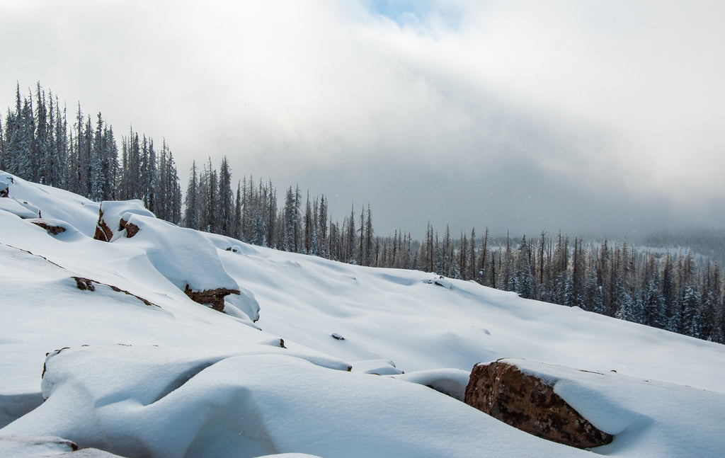 Wolf Creek Ski Area