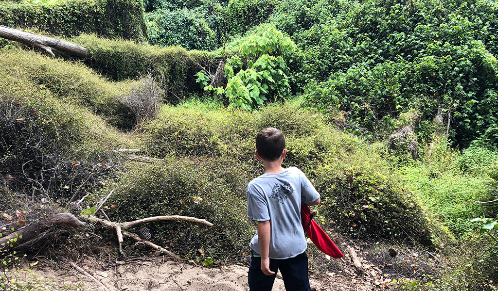 Kid exploring the Presidio