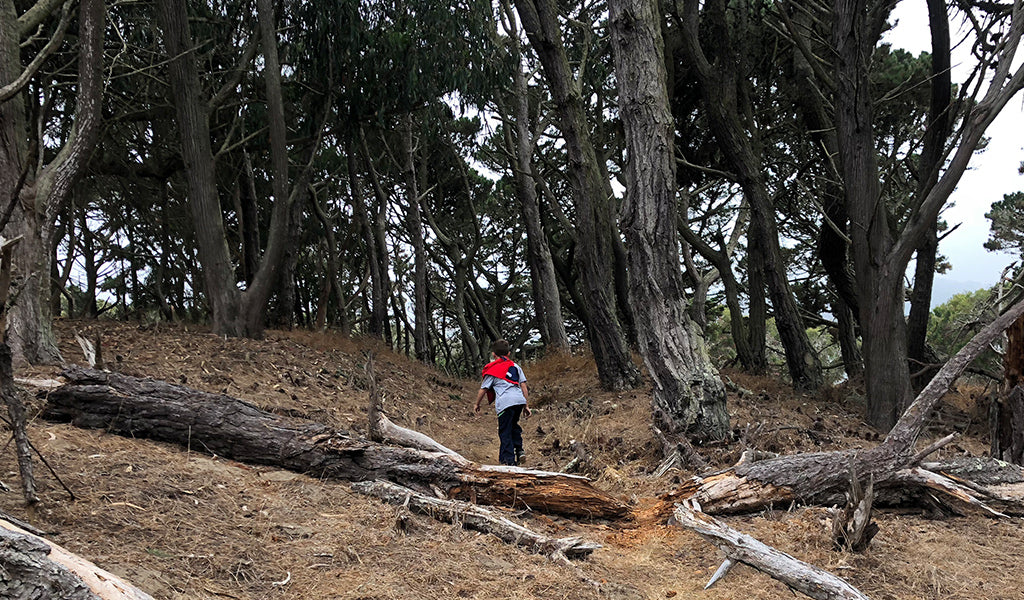 Hiking in the Presidio near Baker Beach