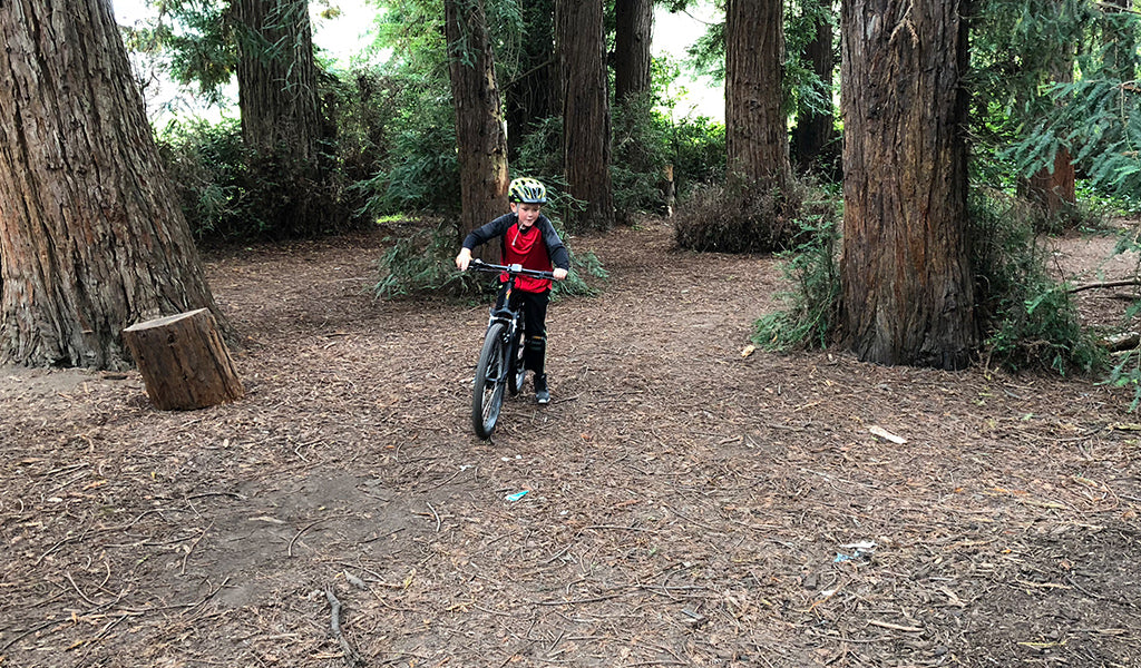 Trees and trails hidden in golden gate park