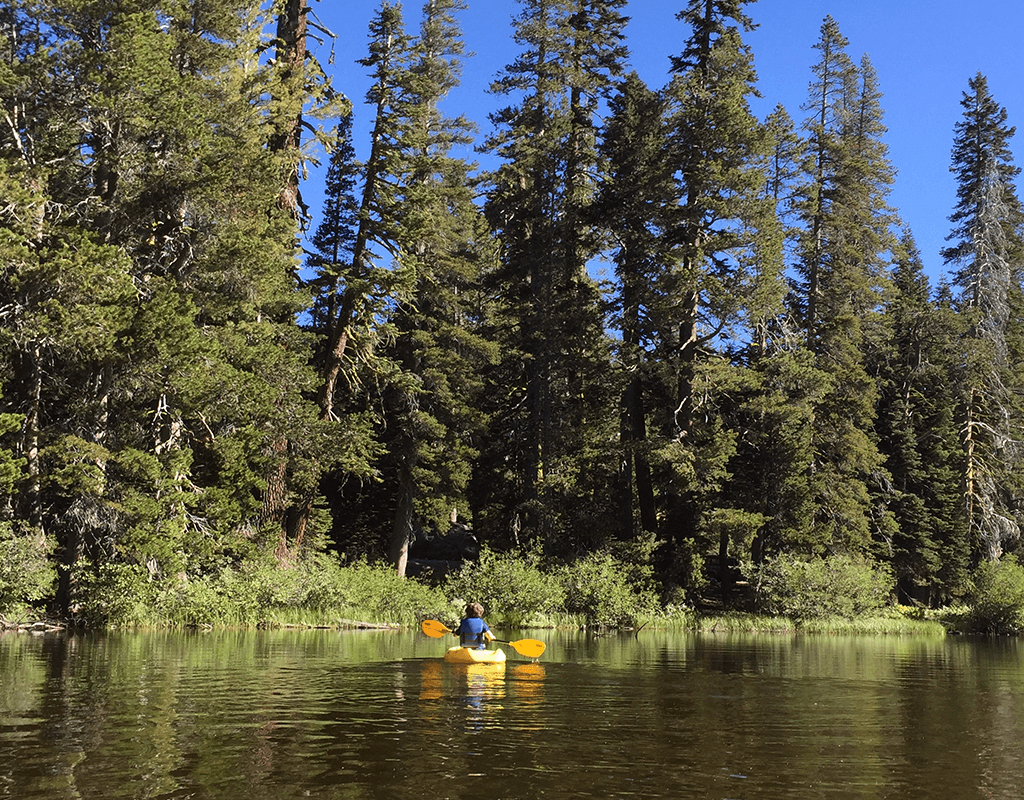 kids in kayaks