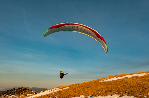 GIN PARAGLIDER Mサイズ 80～95kg | ofa.sg