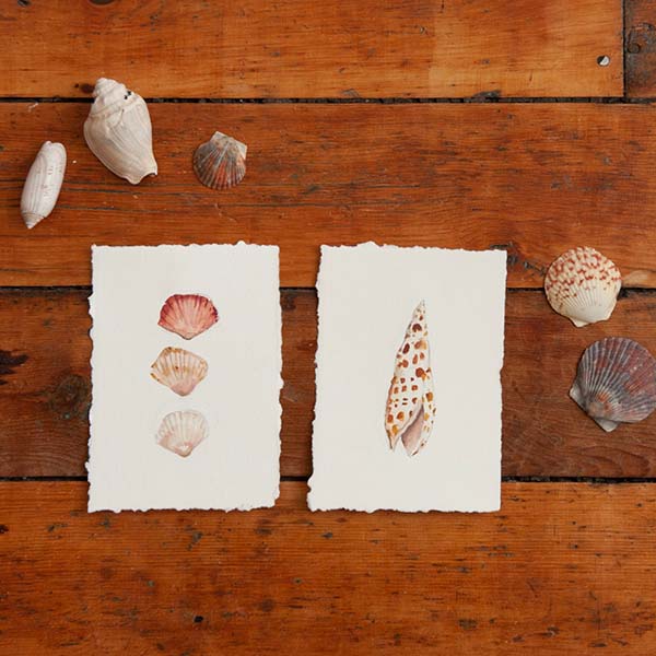 Deckle Seashells Watercolor Painting Project