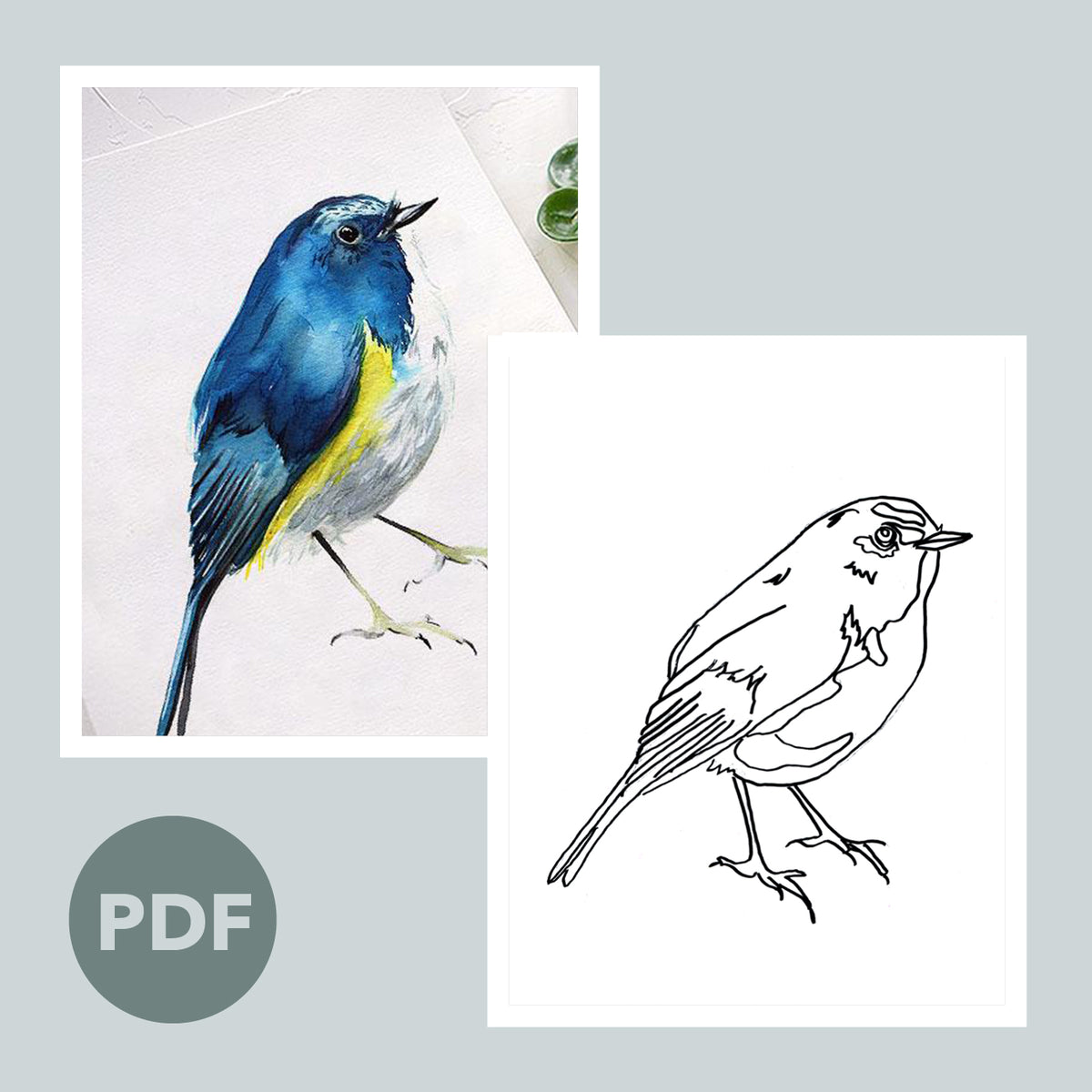 bluebird-outline-let-s-make-art