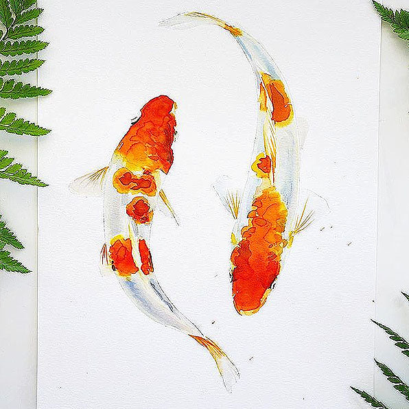Koi Fish Watercolor Kit– Let's Make Art