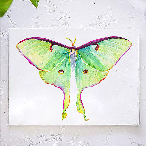 Luna Moth Watercolor Kit Let S Make Art