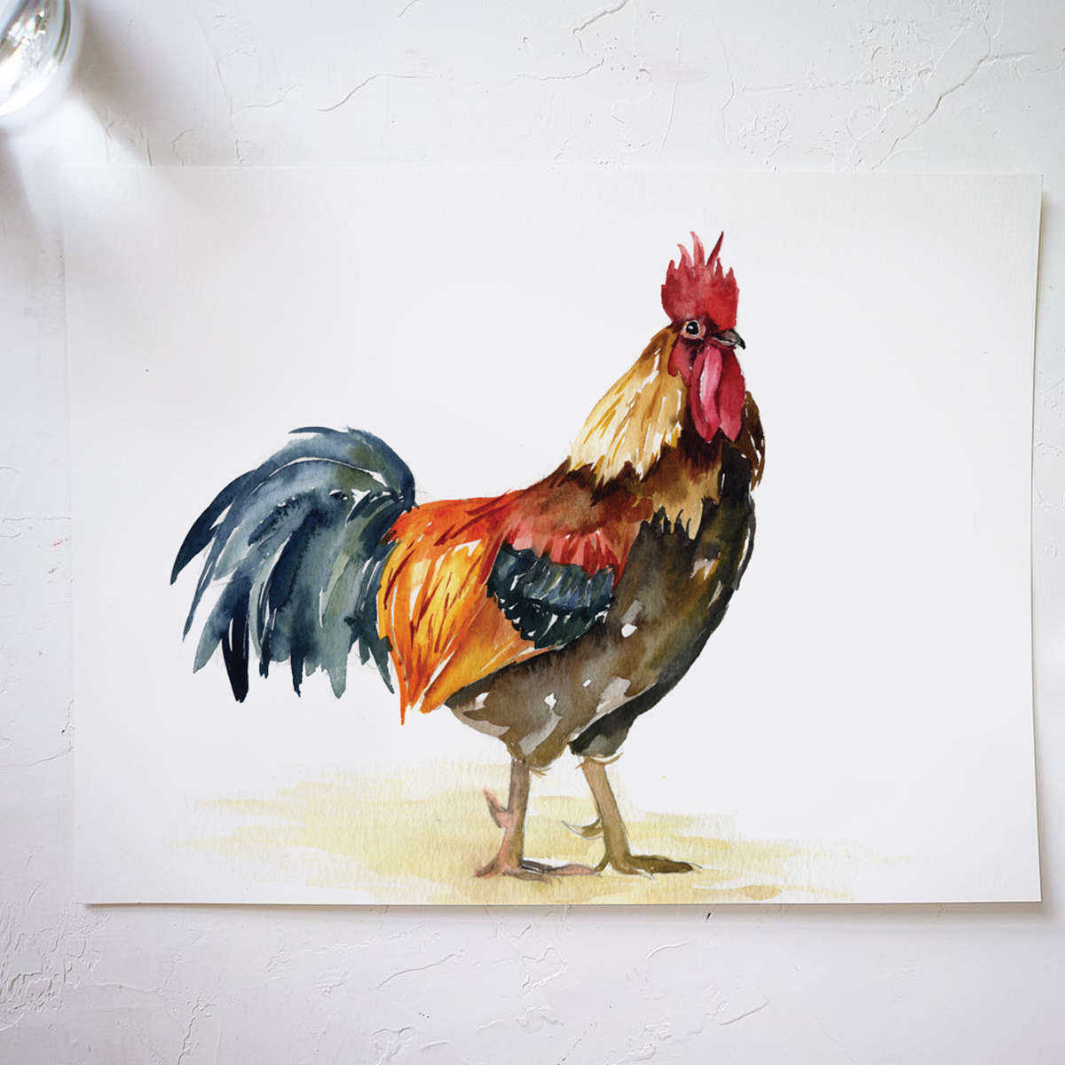 Rooster Watercolor Kit– Let's Make Art