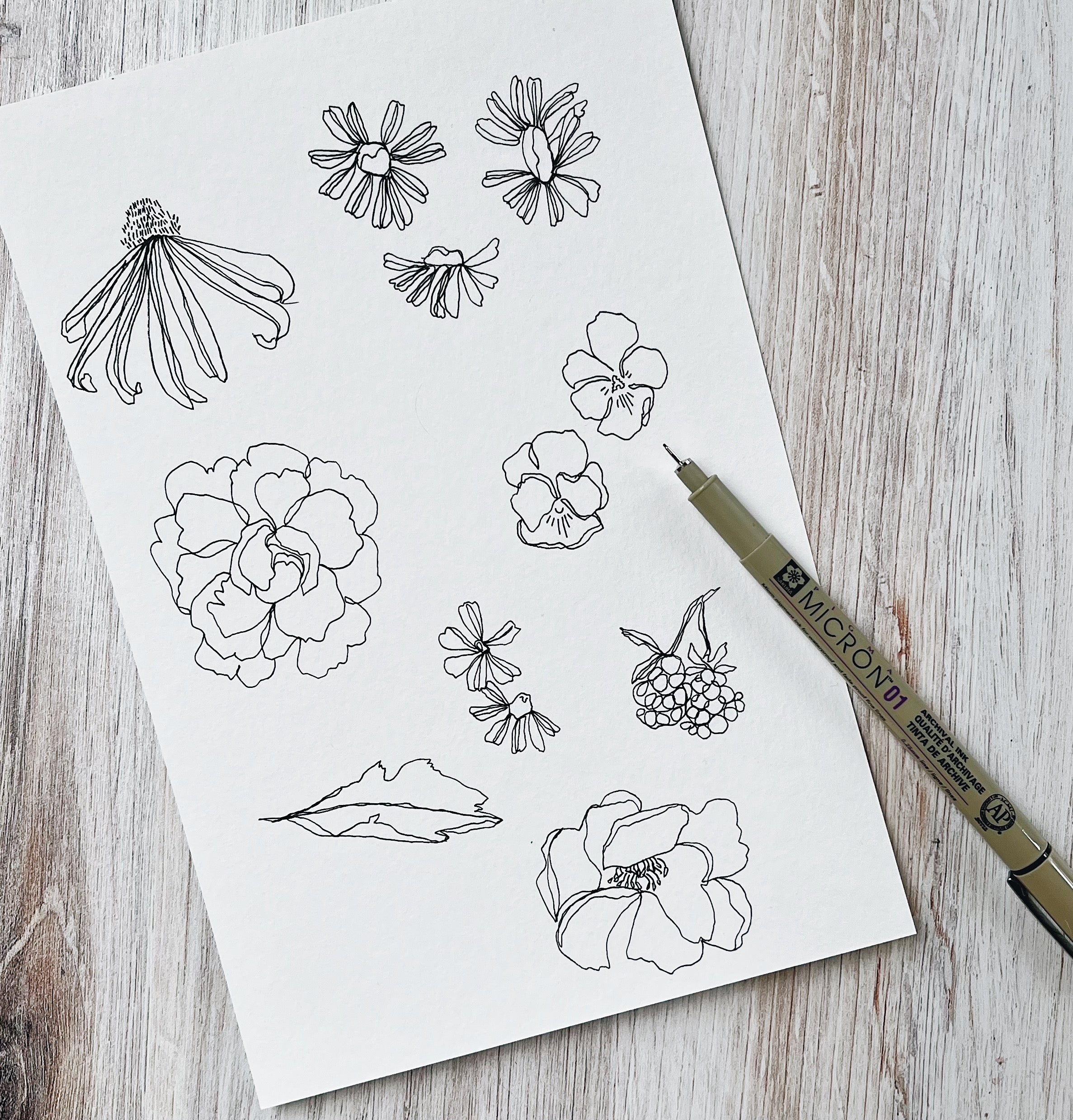 Alyona Creates - Hey Everyone! I am so excited to share a brand new  botanical watercolour workbook with you! This is the latest creation by  Sarah Simon @themintgardener. This book is filled