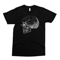 Kids Shirt, Anatomical Skull Tshirt, Anatomy T Shirt, Horror, Vintage Medical Illustration Tee, Youth & Toddler