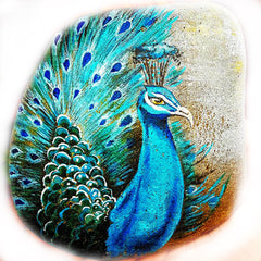 peacock painted rock artist of the month Tunde Fodor