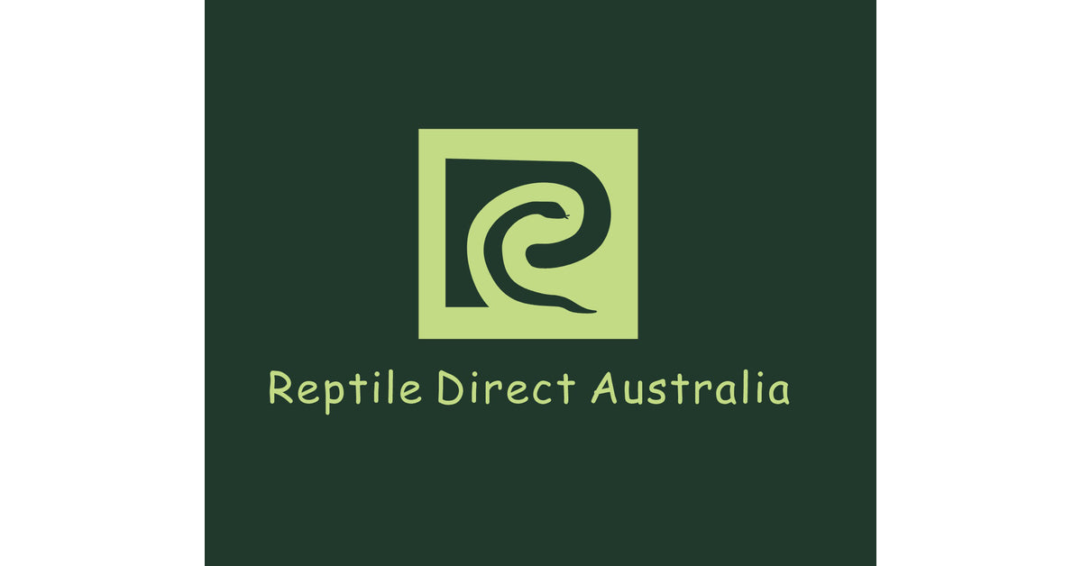 Reptile Direct Australia