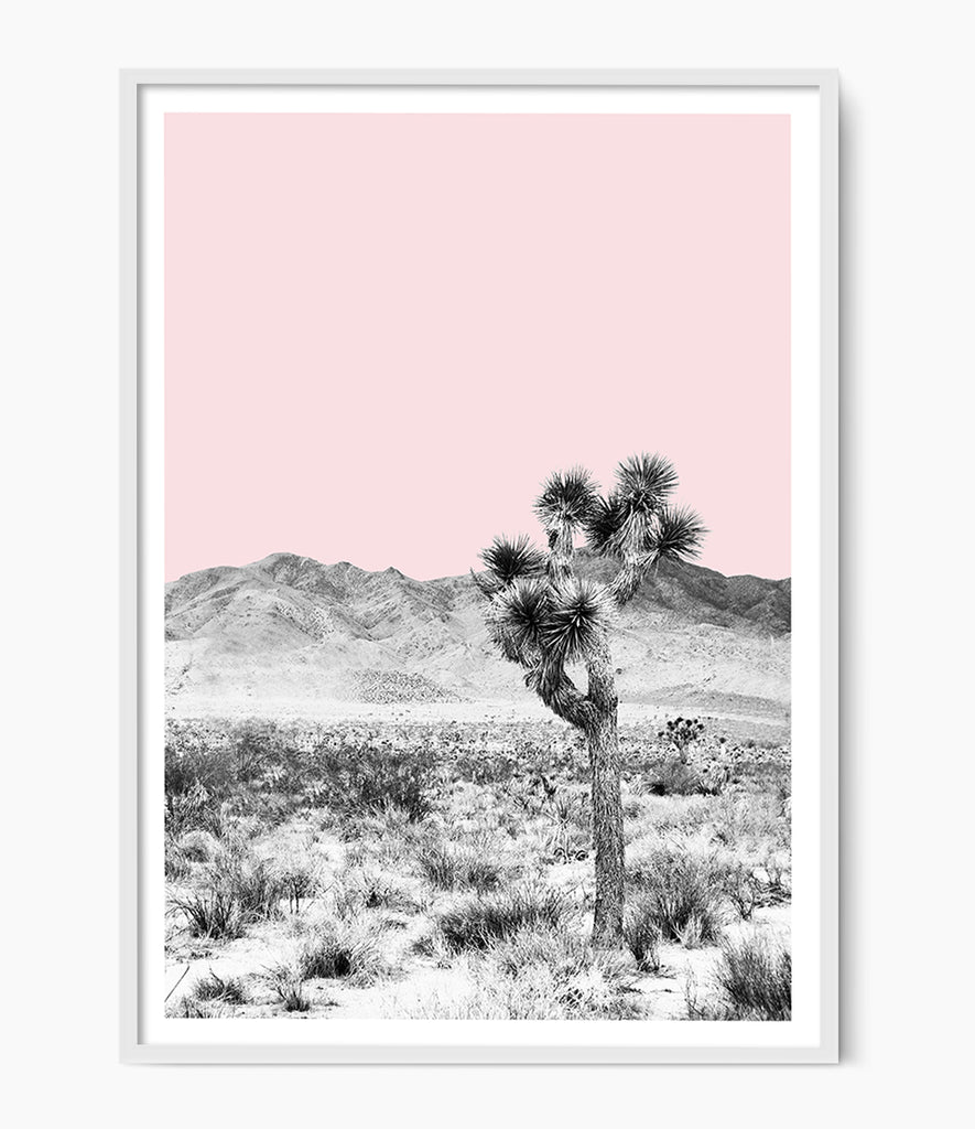 large photo print joshua tree