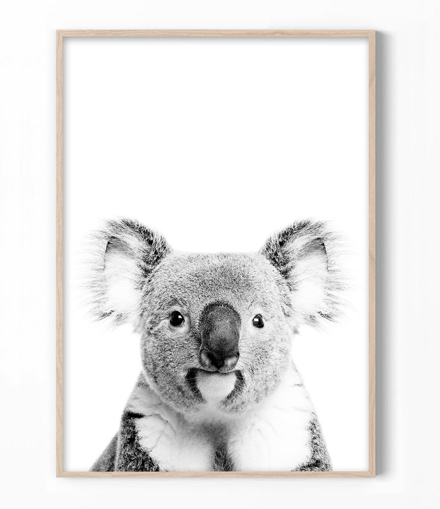 Koala Art Print – Little Ink Empire