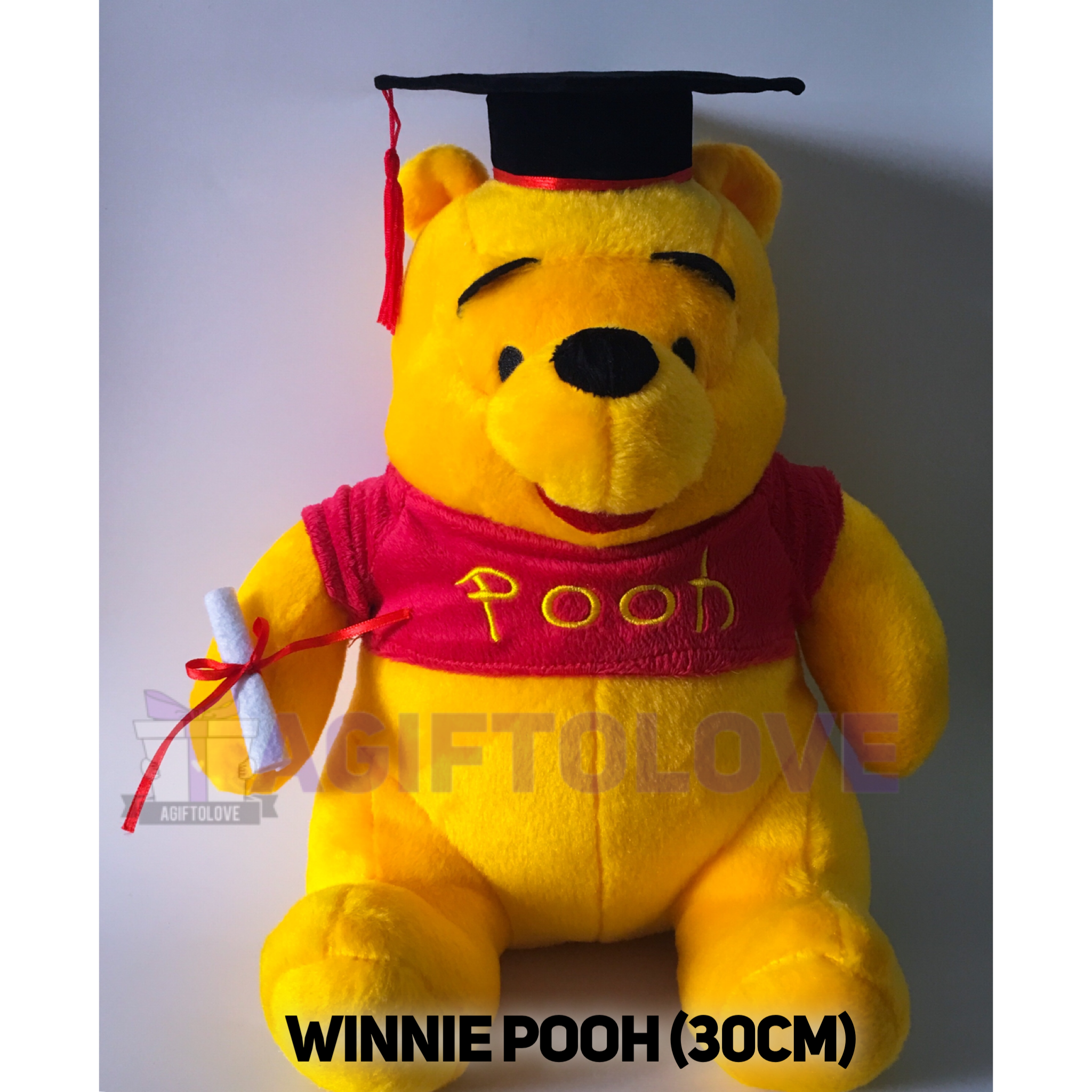 winnie the pooh graduation bear