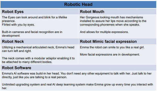 Artificial intelligent sex robot Head #8