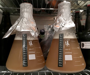 Chill starter to separate yeast from beer