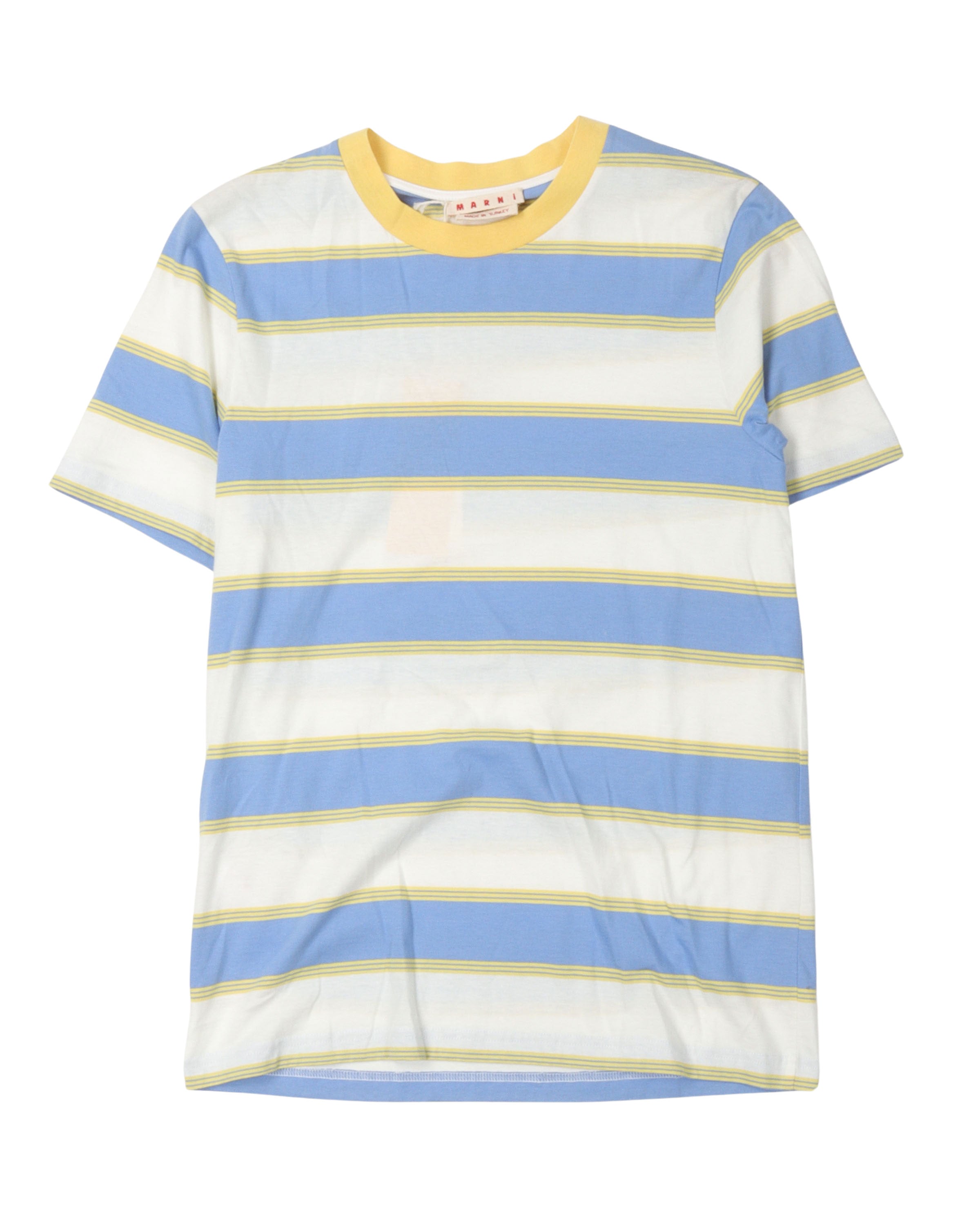 image of Stripe Print T-Shirt