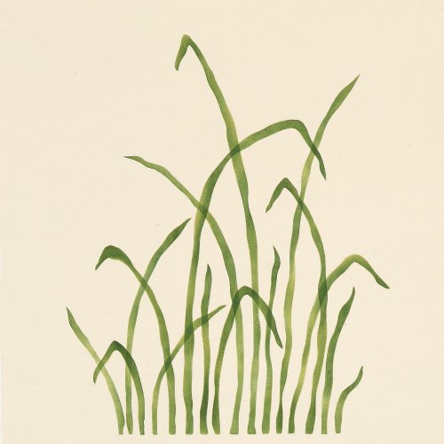 #739 Tall Grass Stencil