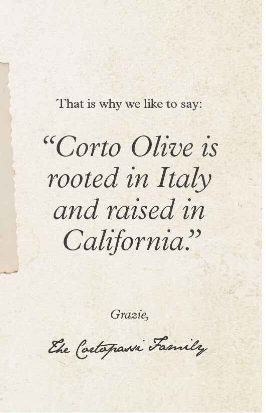 About Corto Olive Oil | Redefining Fresh Olive Oil & EVOO