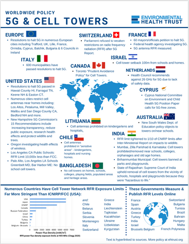 Flyer to Show City's How Bad America's Laws Are About Cell Towers