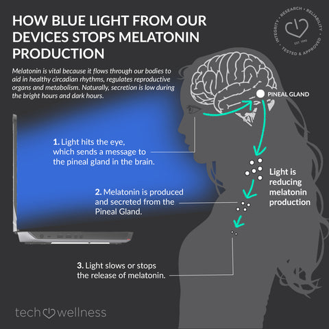 melatonin and sleep