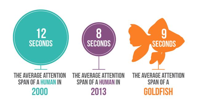 longer attention span goldfish