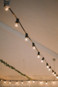 Festoons - 15m