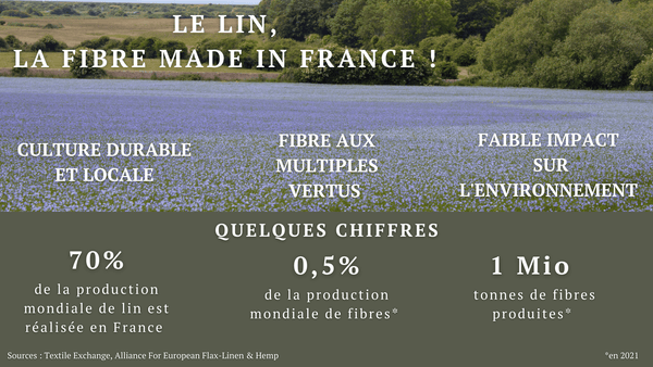 La culture du lin dans le secteur textile