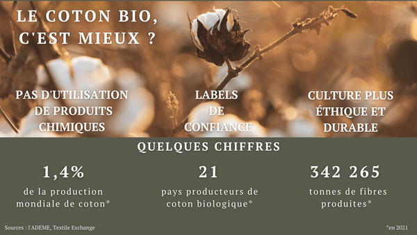 La culture du coton bio