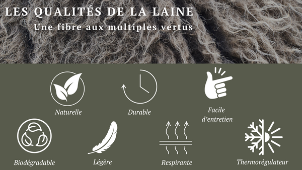 Les qualités de la laine