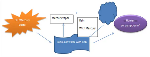 The Mercury & Chlorofluorocarbon Problem