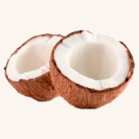 coconut2.jpg__PID:72aefbd7-649b-4748-8074-e372d7d2fd91