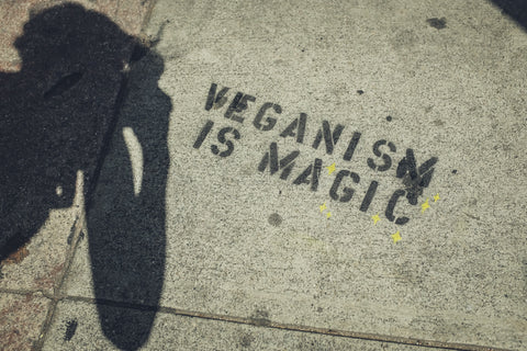 Vegan quote written on the floor