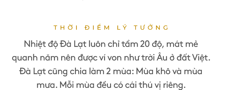 Nhiệt độ Đà Lạt luôn chỉ tầm 20 độ, mát mẻ quanh năm, nên được ví von như trời Âu của đất Việt. Đà Lạt cũng chia làm 2 mùa khô và mưa. Mỗi mùa đều có cái thú vị riêng.