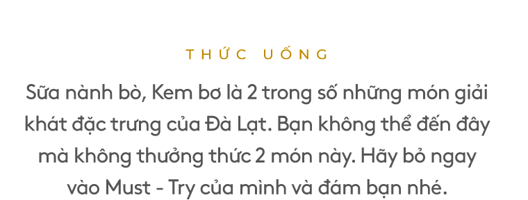 Sữa nành bò, kem bơ là 2 món trong số những món giải khát đặc trưng của Đà Lạt. Hãy bỏ ngay vào Must - Try của mình và đám bạn nhé