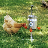 Chicken drinking from Love My Hens Cup Waterer