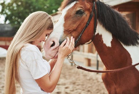 Bridging Hearts and Hooves: A Guide to Building a Stellar Bond with Your Equine Companion
