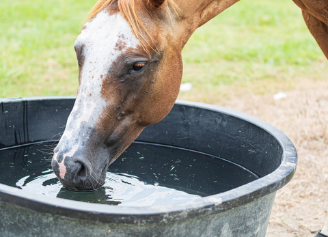 Horse and Farm Owners New Year Preparations