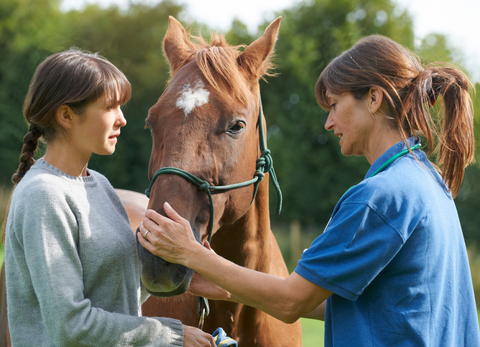 Horse and Farm Owners New Year Preparations