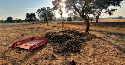 The 4 Most Important Reasons to Remove Horse Poo From Your Paddocks