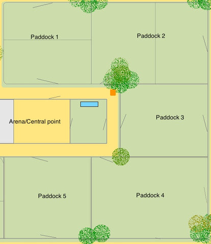 best horse paddock layout tips for every farm