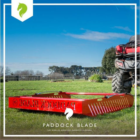 Best Horse Paddock Layout Tips For Every Farm