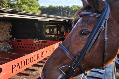 More Than Clean Pastures: Paddock Blade Does It All