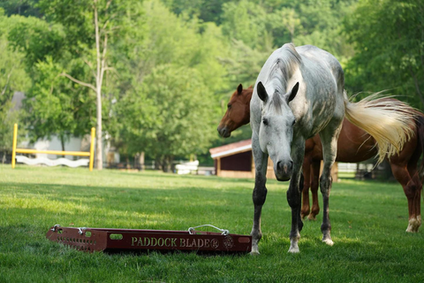 More Than Clean Pastures: Paddock Blade Does It All