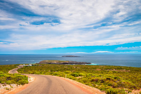 The Top 10 Horse Riding Trails You Must See in Australia