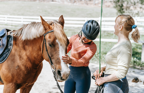 The Magic of Equine Therapy: Healing Hearts and Minds