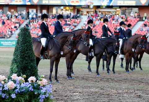 A Preview into Australia's Diverse Horse Events of 2024